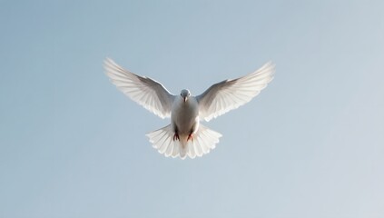 Obraz premium White dove flying upward against clear blue sky.
