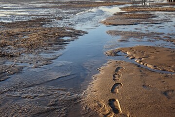 Footprints in wet sand on a tidal flat with water channels at low tide