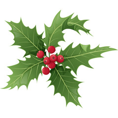 A Sprig of Holly with Red Berries and Green Leaves Isolated on a White Background Perfect for Christmas Decorations and Winter Themes