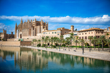 Palma de Mallorca Cathedral (La Seu) with Iconic Palm Trees in the Foreground, Balearic Islands