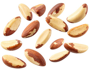 Obraz premium Assorted Brazil Nuts Displayed on a Transparent Background with Varied Textures and Shapes