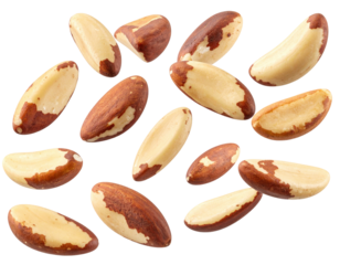 Assorted Brazil Nuts Displayed on a Transparent Background with Varied Textures and Shapes