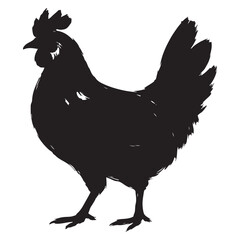 Chicken hen poultry bird silhouette brush texture vector