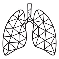 Lungs geometric wireframe outline human anatomy structure