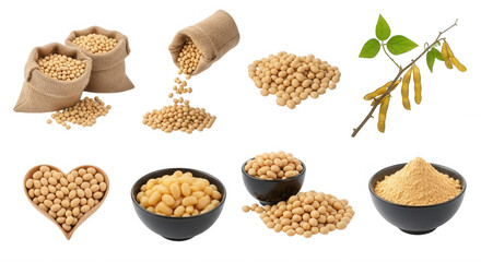 Soybeans and soy powder collection isolated on a transparent background