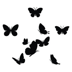 Butterfly silhouette 