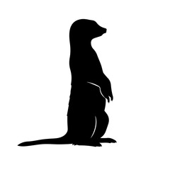 Silhouette of a meerkat standing upright on its hind legs, looking to the right.