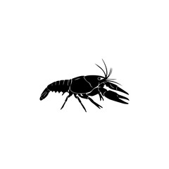 Black silhouette of a freshwater crayfish or lobster-like crustacean on a white background, depicted in a simple graphic style.