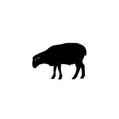 business_2exwnl_via_RJ_Whisk_Auto_vector