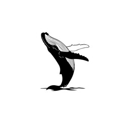 A striking black and white illustration of a humpback whale breaching from the ocean's surface.