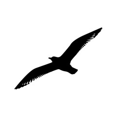 business_2zjfop_via_RJ_Whisk_Auto_vector