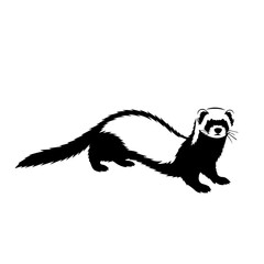A simple black and white graphic illustration of a ferret standing in profile on a white background.