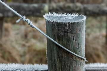 A wooden post covered in frost stands amidst a chilly rural landscape. Fine ice crystals sparkle on the surface in the soft morning light, creating a serene winter scene.