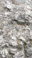 light limestone with interesting texture visible. background