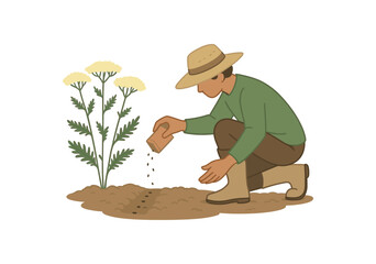 yarrow seed sowing gardening practice and biodiversity creation flat vector illustration style isolated on white background