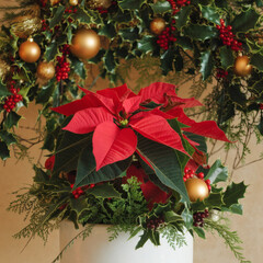 Christmas holly decoration with berries and leaves on a red background for holiday season