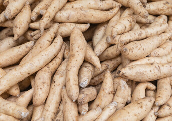 Organic raw honey sweet potatoes selling on market