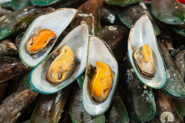 Fresh green mussels on display at seafood market