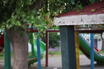 Fototapeta premium lonely park 