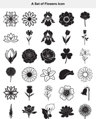 Elegant Floral Icon Set Variety of Nature's Bloom Illustrations