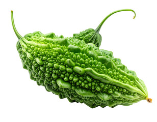  Fresh Green Bitter Melon Isolated on Transparent Background 