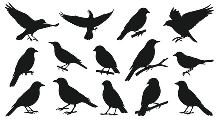 Obraz premium Silhouetted birds in various poses offer versatility for designers seeking avian imagery, adding a touch of nature to their projects.