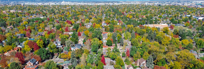 Panorama aerial view fall foliage dense suburban canopy Denver mixed-use corridor. Tree-lined homes...