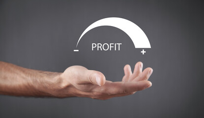 Profit level meter. Business. Finance