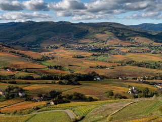 Obraz premium Paysage du vignoble du Beaujolais dans le département du Rhône à l'automne autour du Mont Brouilly