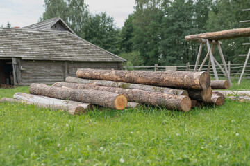 a pile of large tree trunks cut down by loggers and a forest road