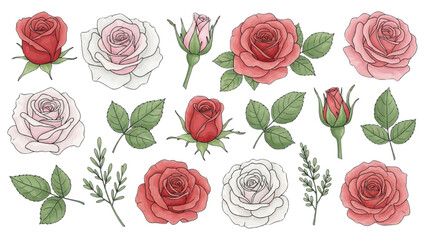Fototapeta premium Collection of beautiful red and white roses and leaves illustrations