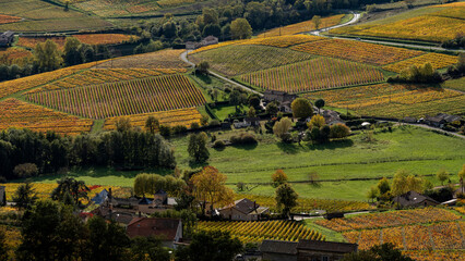 Paysage du vignoble du Beaujolais dans le département du Rhône à l'automne autour du Mont...