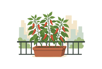balcony chili pepper plants thriving container garden city lifestyle flat vector illustration style isolated on white background