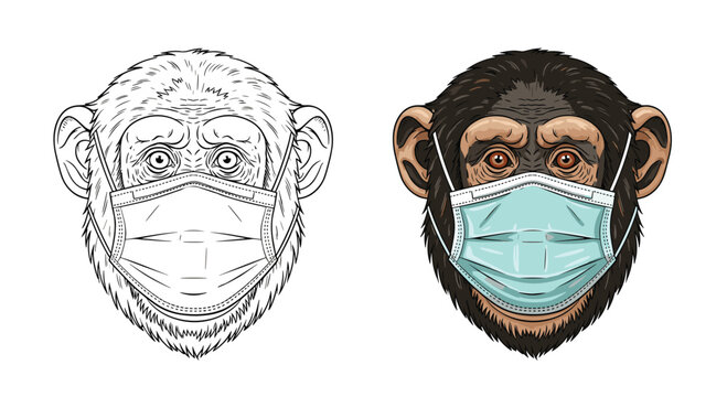 A chimp wearing a protective face mask a visual representation of health and safety measures for primates.
