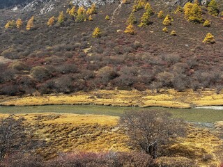 Yading Nature Reserve