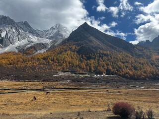 Yading Nature Reserve