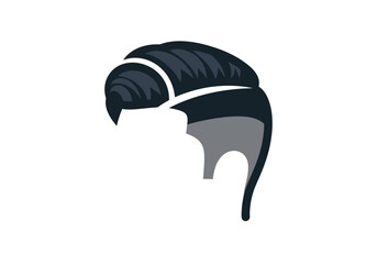 Stylized dark blue pompadour gray sideburns white highlights