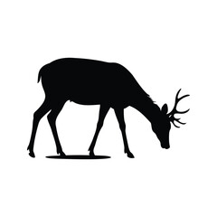 Silhouette of a deer grazing quietly in the wilderness, foraging for sustenance, deer drinking water silhouette vector illustration
