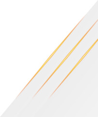 White and Gold Luxury Corner Border Illustration