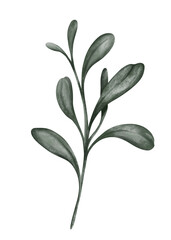 Obraz premium A watercolor illustration of a eucalyptus branch isolated on white is a popular element in botanical art and floral design, often used for wedding invitations