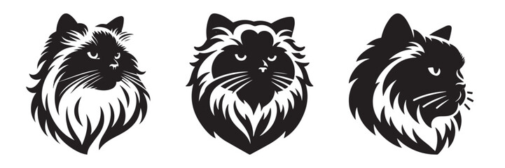 Obraz premium Black Cat Silhouette Art: Elegant Feline Portraits.