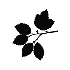 Silhouette of a branch with leaves against a clean white background, hazel branch silhouette vector illustration © MdShahriar