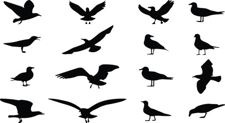 Seagull Silhouettes Vector Set, Coastal Birds Flying and Standing Poses, Black Icon Collection, Beach Wildlife Graphic Clip Art for Nature and Marine Design.