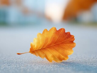 Close Up Autumn Leaf With Golden Sparkle Texture Rests On Frosty Ground With Soft Bokeh Background In Warm Sunlight