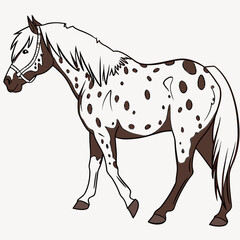 A stylized drawing of a brown and white spotted appaloosa horse wearing a halter and walking gracefully