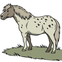 A cartoon illustration of a spotted horse standing on a patch of grass with a white background