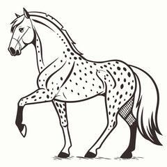 Elegant appaloosa horse with distinctive spots shown in a side profile with one leg raised