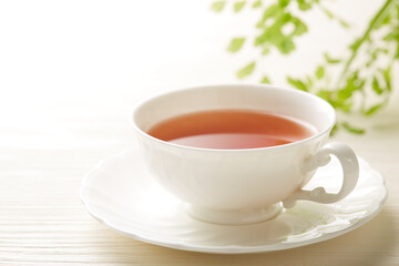 白い背景に暖かい紅茶のイメージ