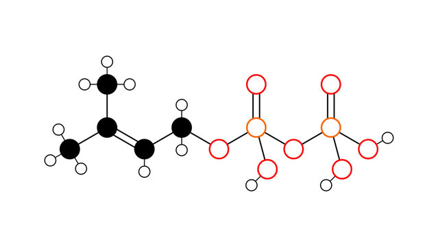 dimethylallyl pyrophosphate molecule, structural chemical formula, ball-and-stick model, isolated image isoprenoid precursor