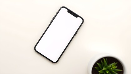 A top-down view of a smartphone with a blank screen, near a potted succulent.